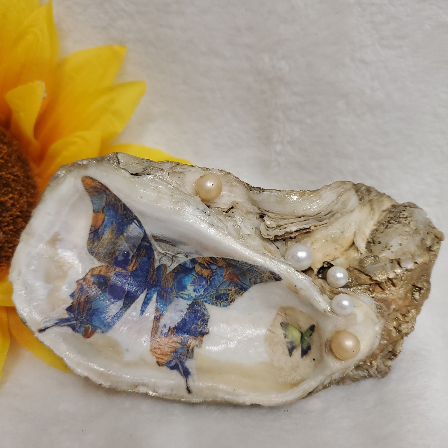 Floral Decorated Oyster Shells (FL)