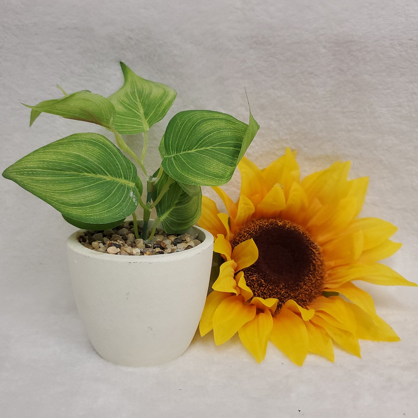 Small white jar with plant
