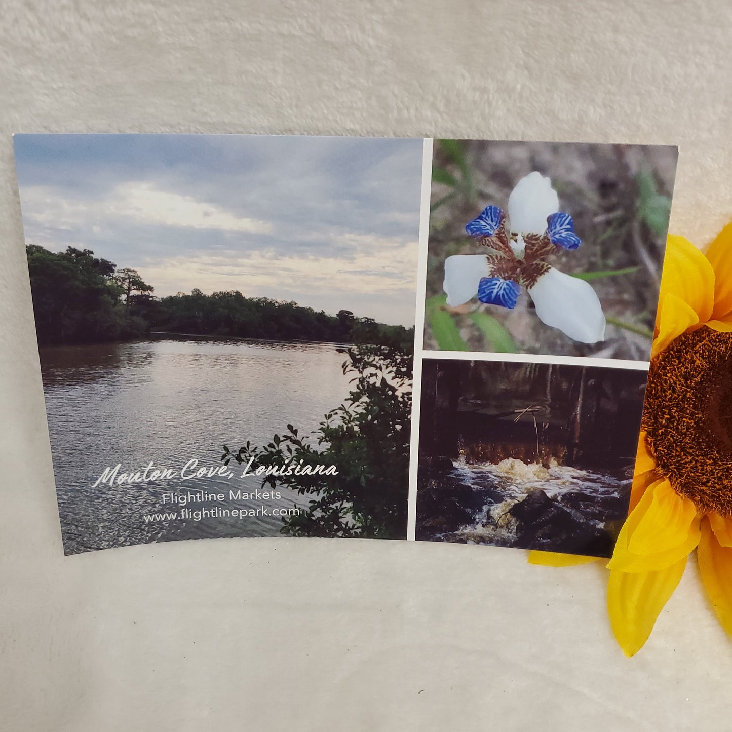 5 x 7 Postcards