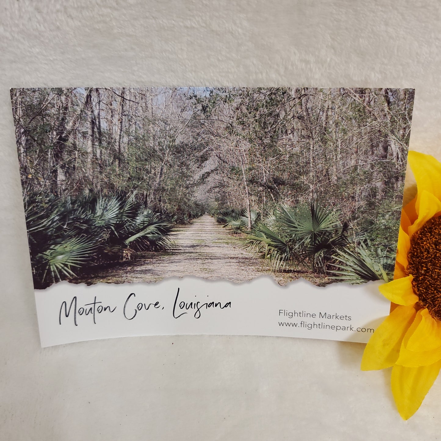 5 x 7 Postcards