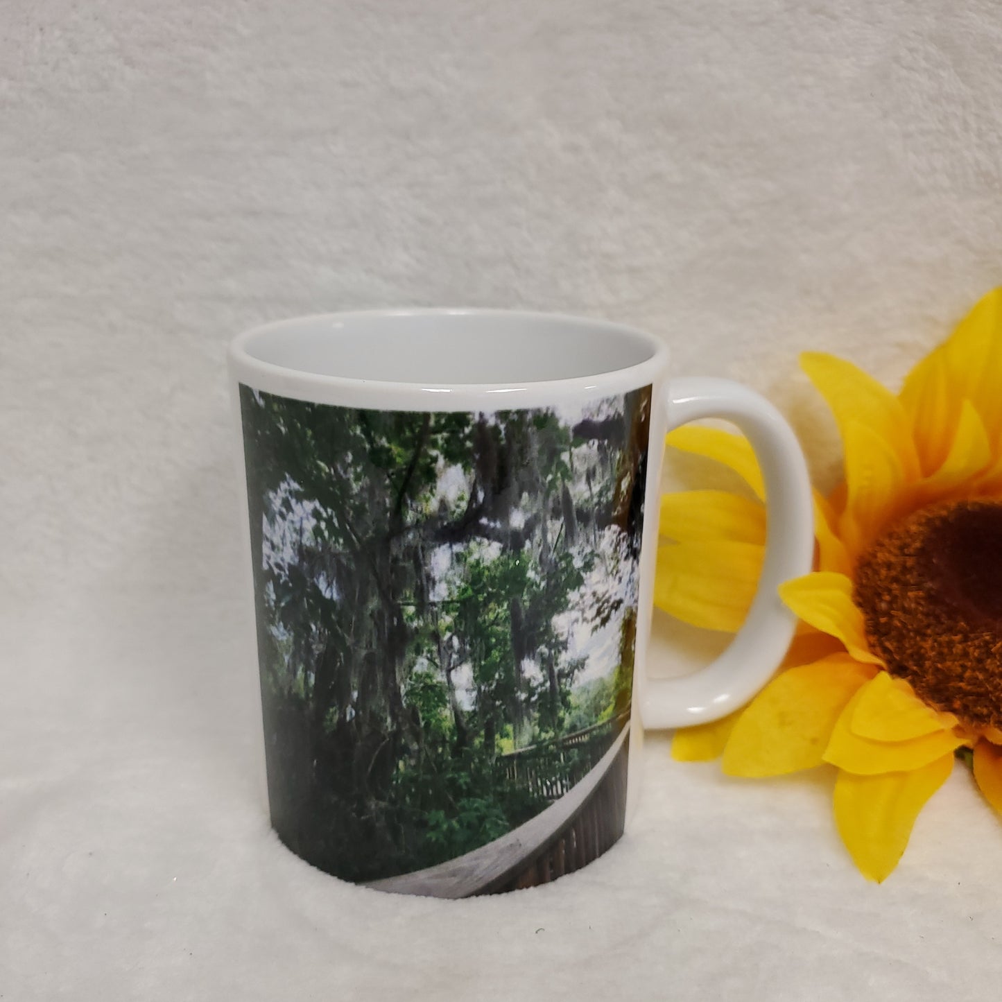 Cypress Walkway Coffee Cup