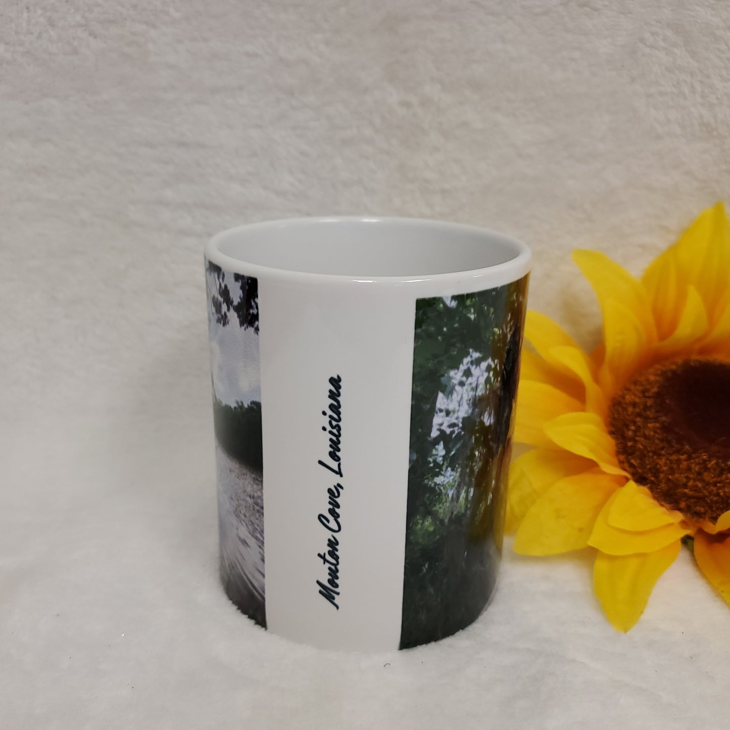 Cypress Walkway Coffee Cup