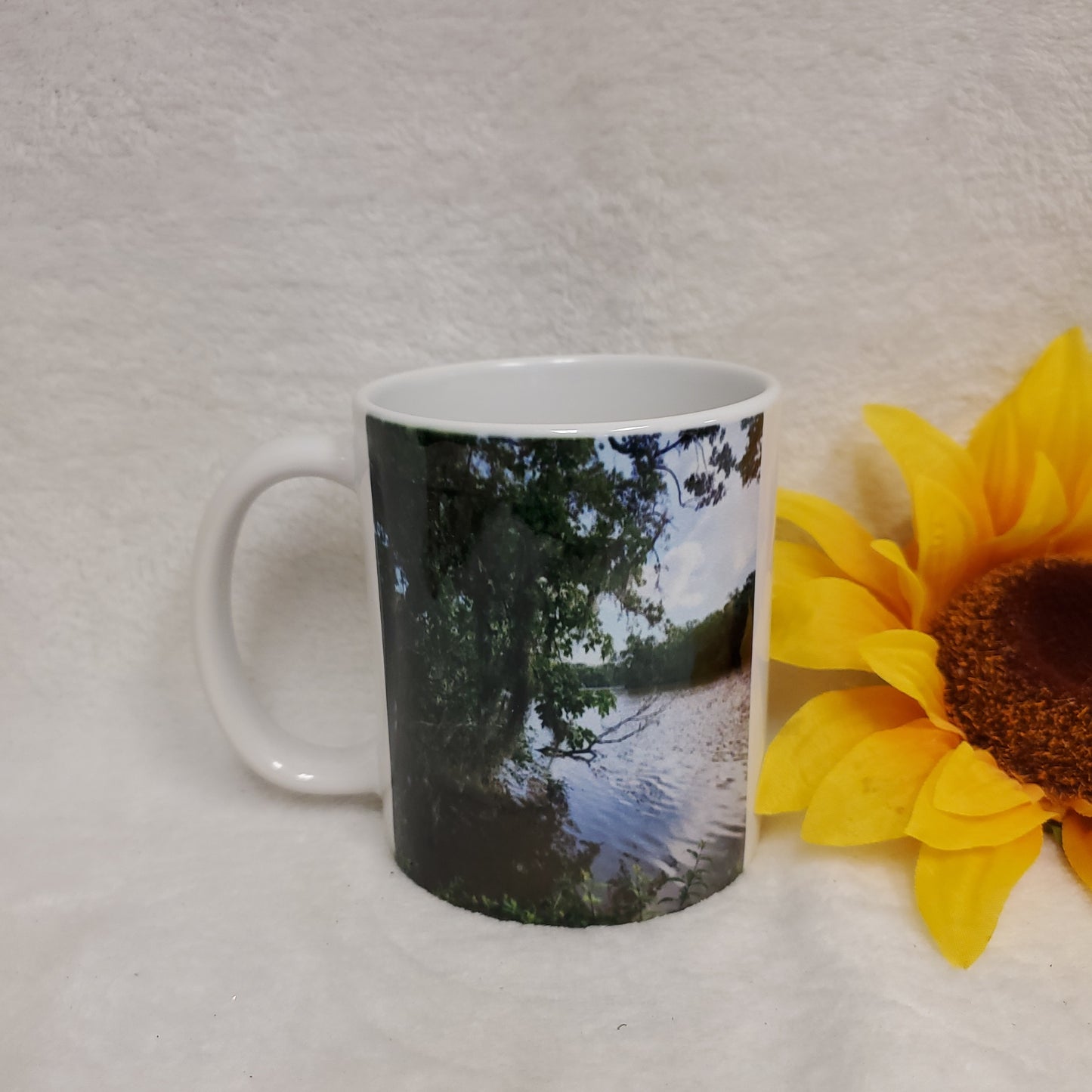 Cypress Walkway Coffee Cup