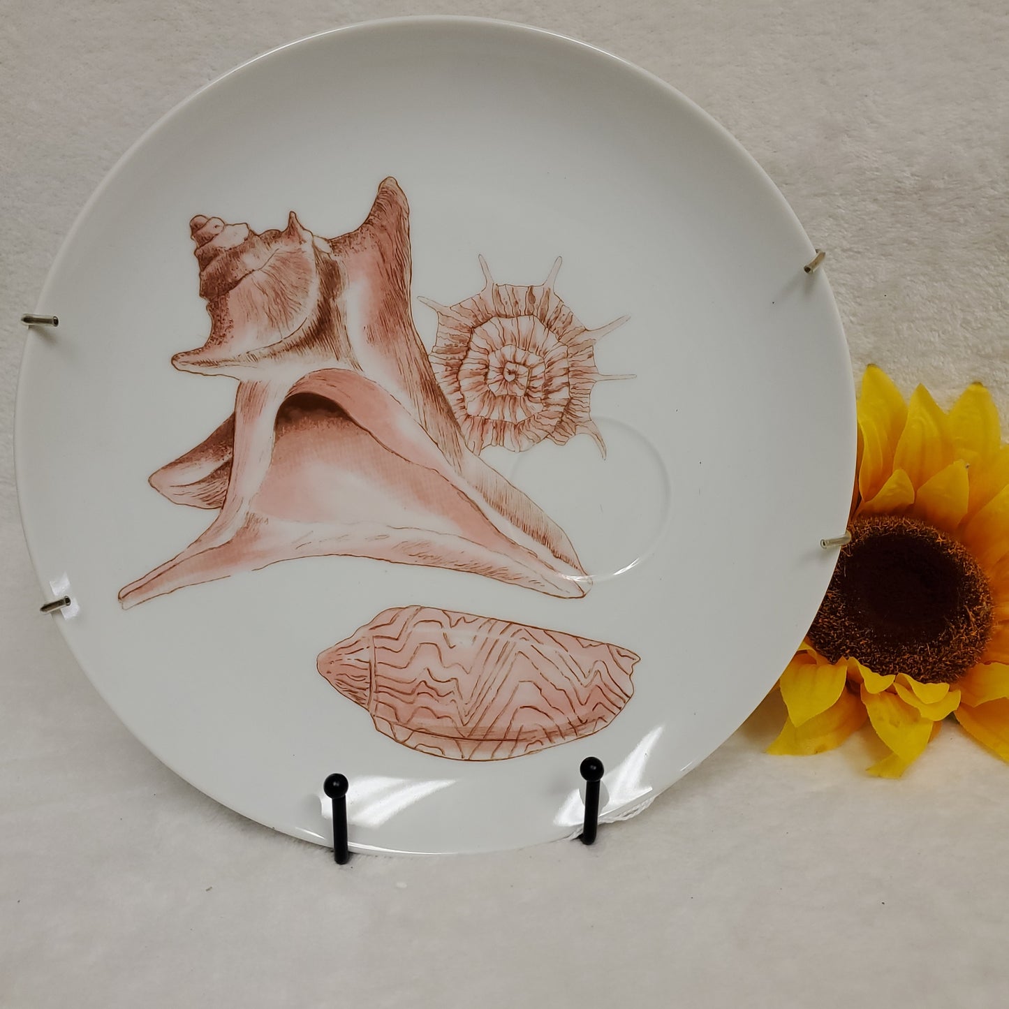 Seashell Plates