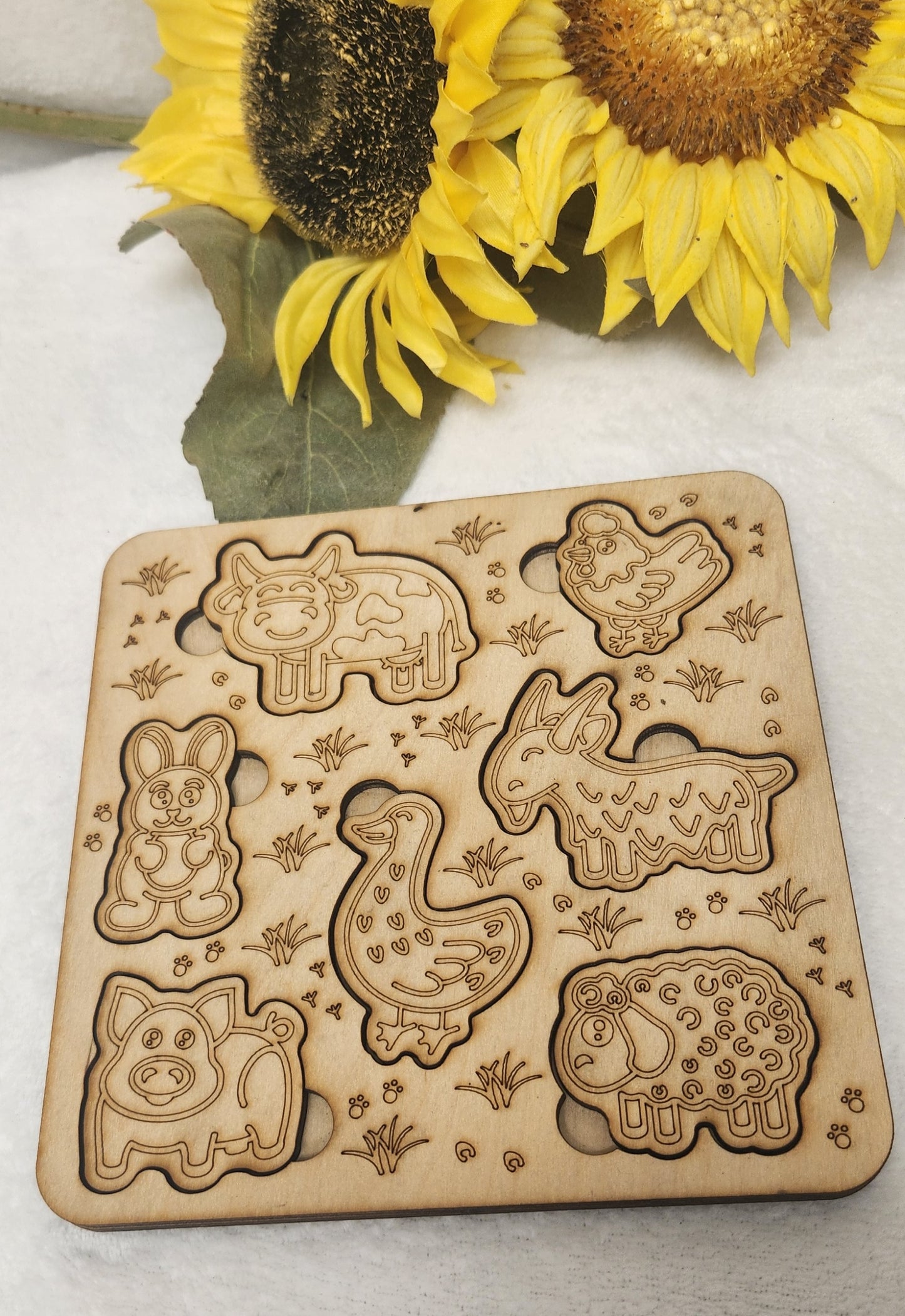 Wooden Engraved Puzzles