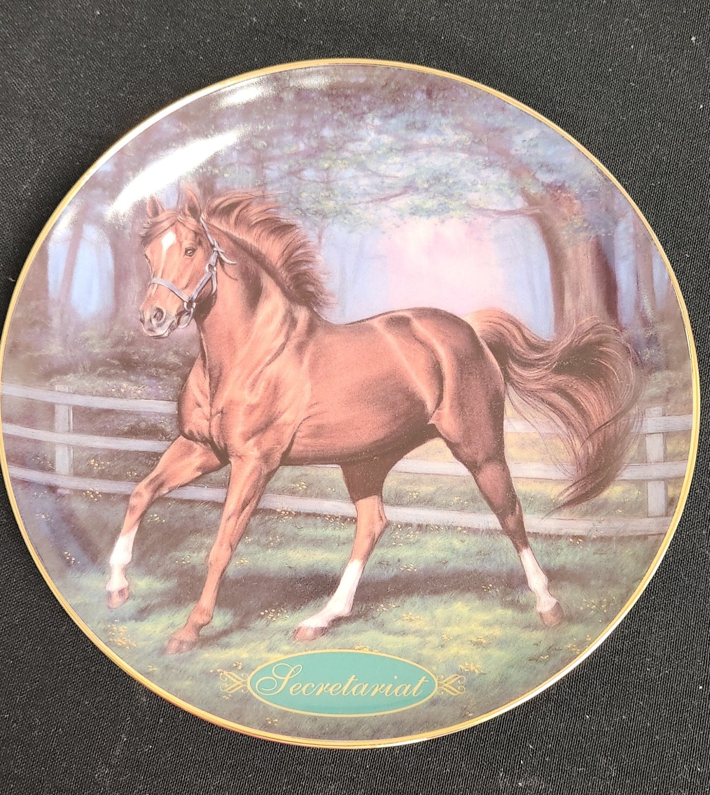 Champion Throroughbred Collection Secretariat