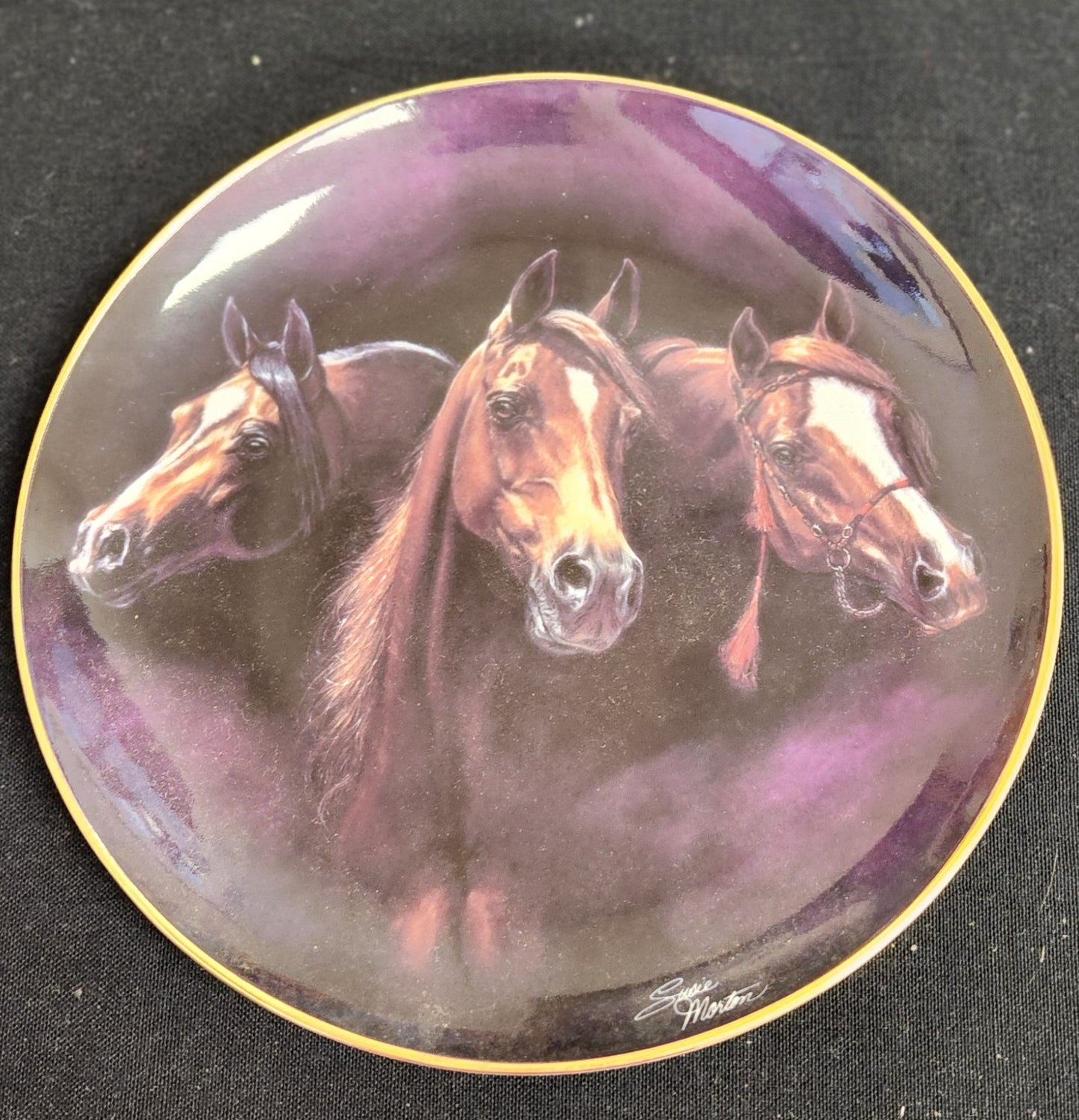 Collectible Plate by Danbury Mint - 'Noble and Free' Design, Vintage Americana