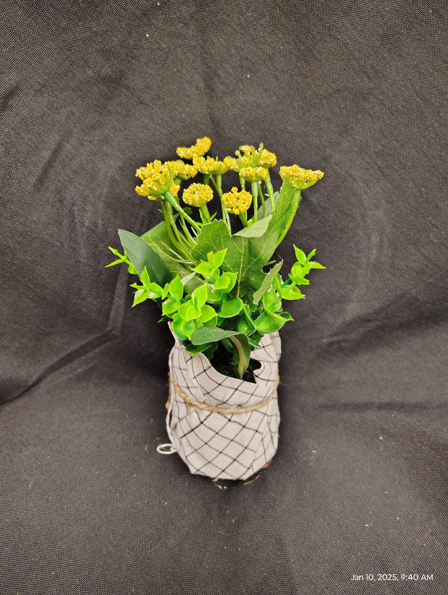 Flowers for Kids