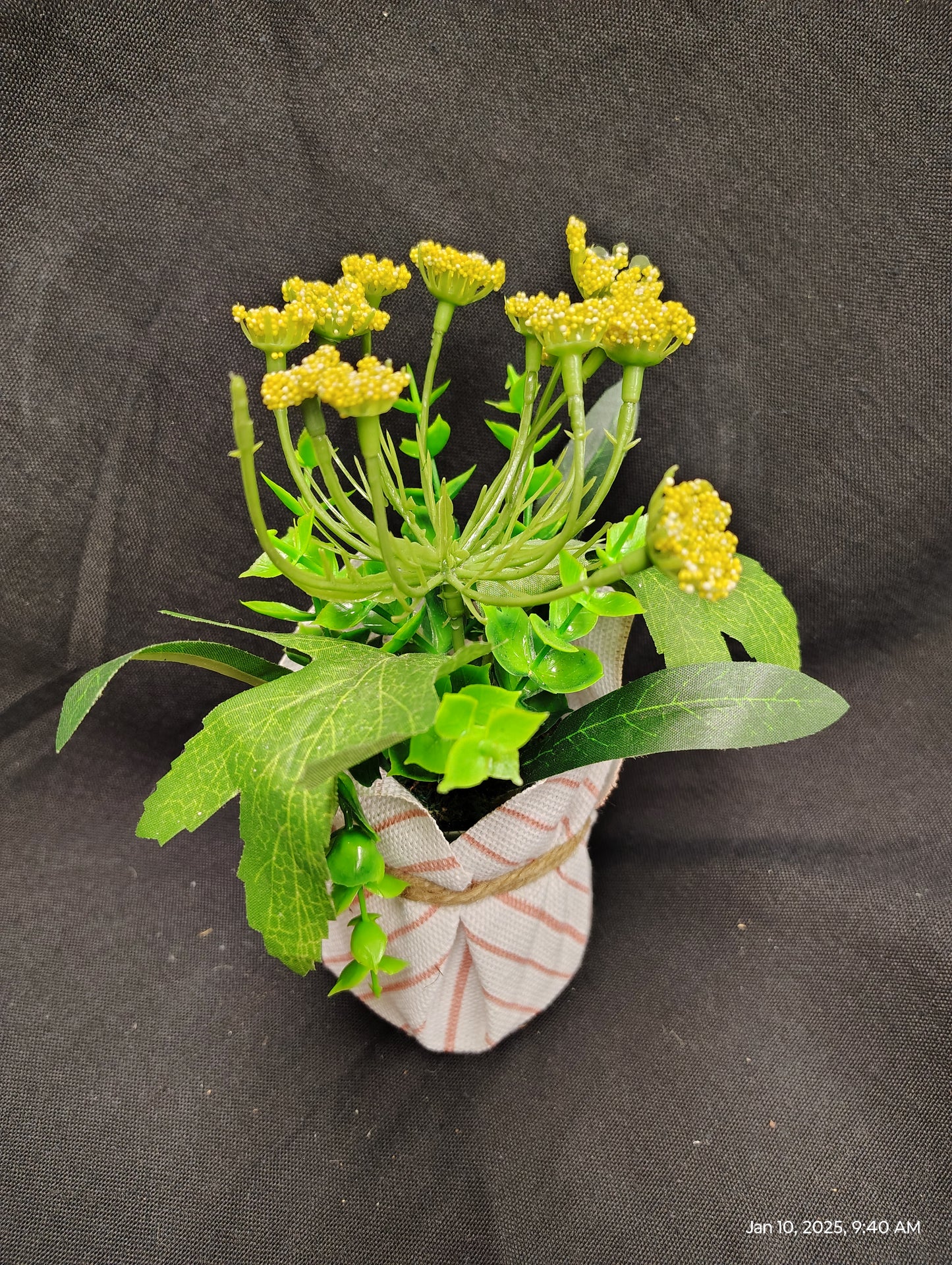 Flowers for Kids