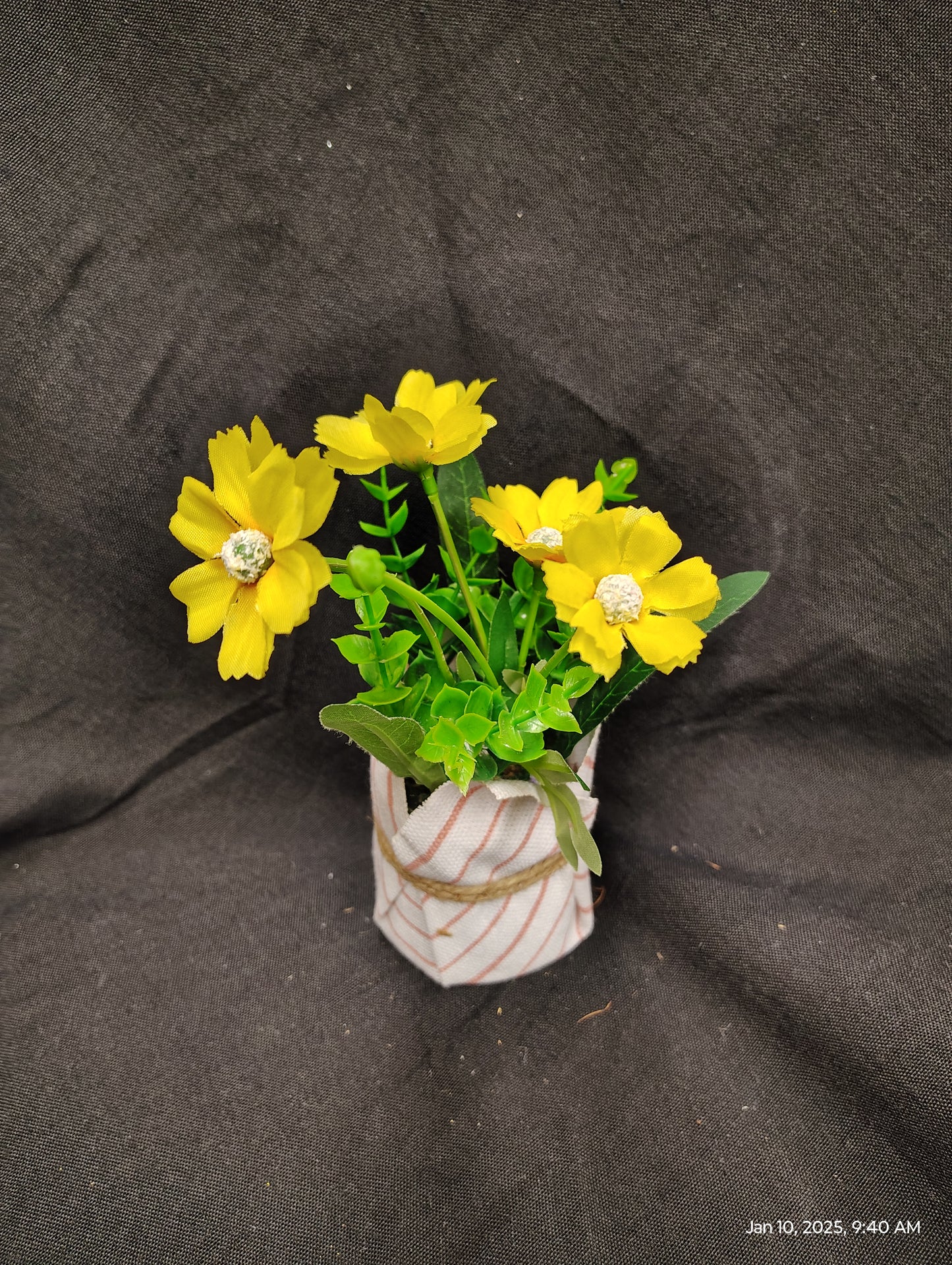 Flowers for Kids