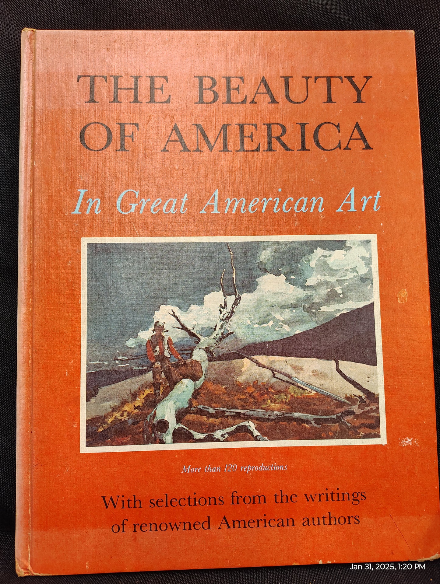 American Art Books