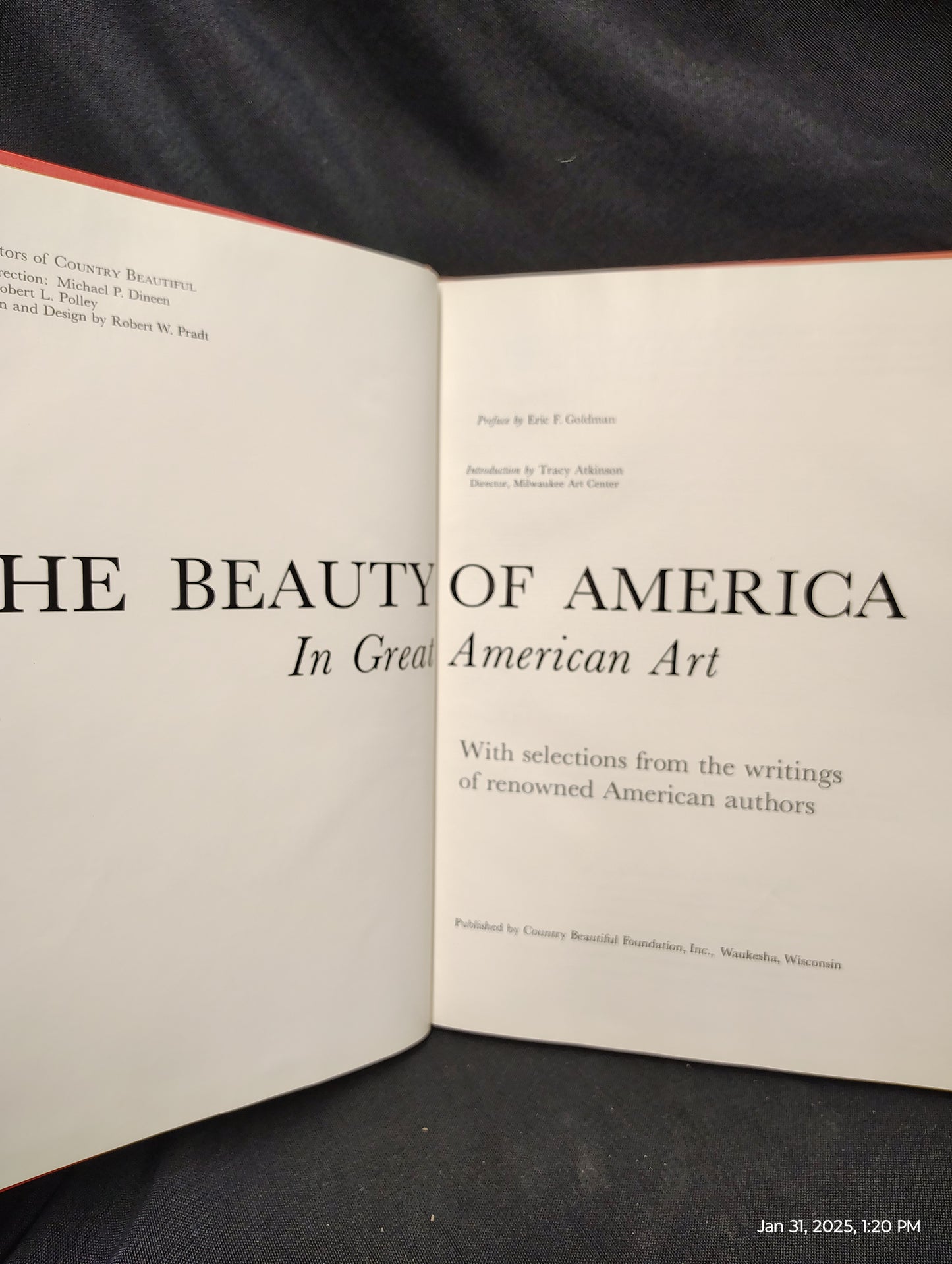American Art Books