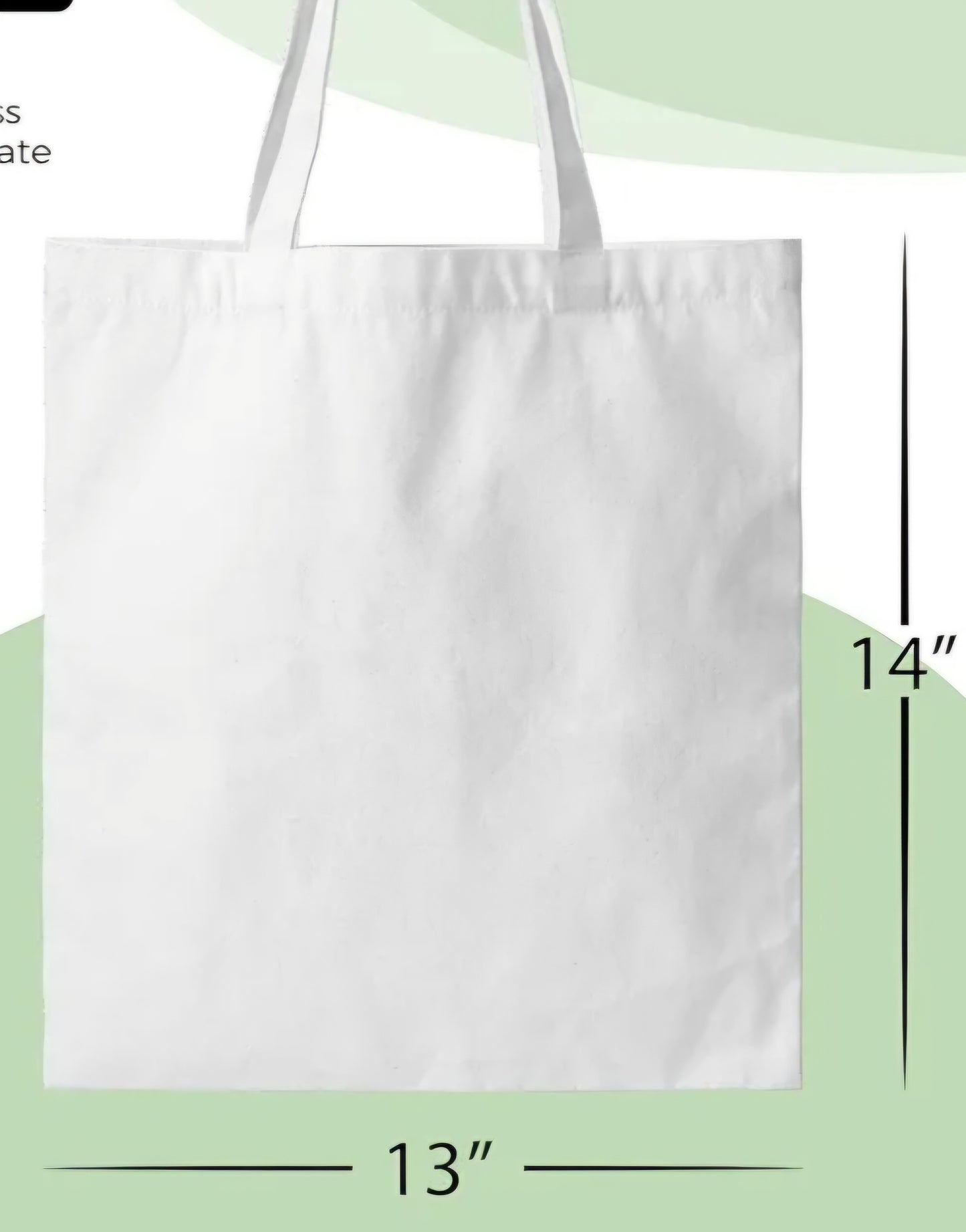 Mardi Gras Parade Totes
