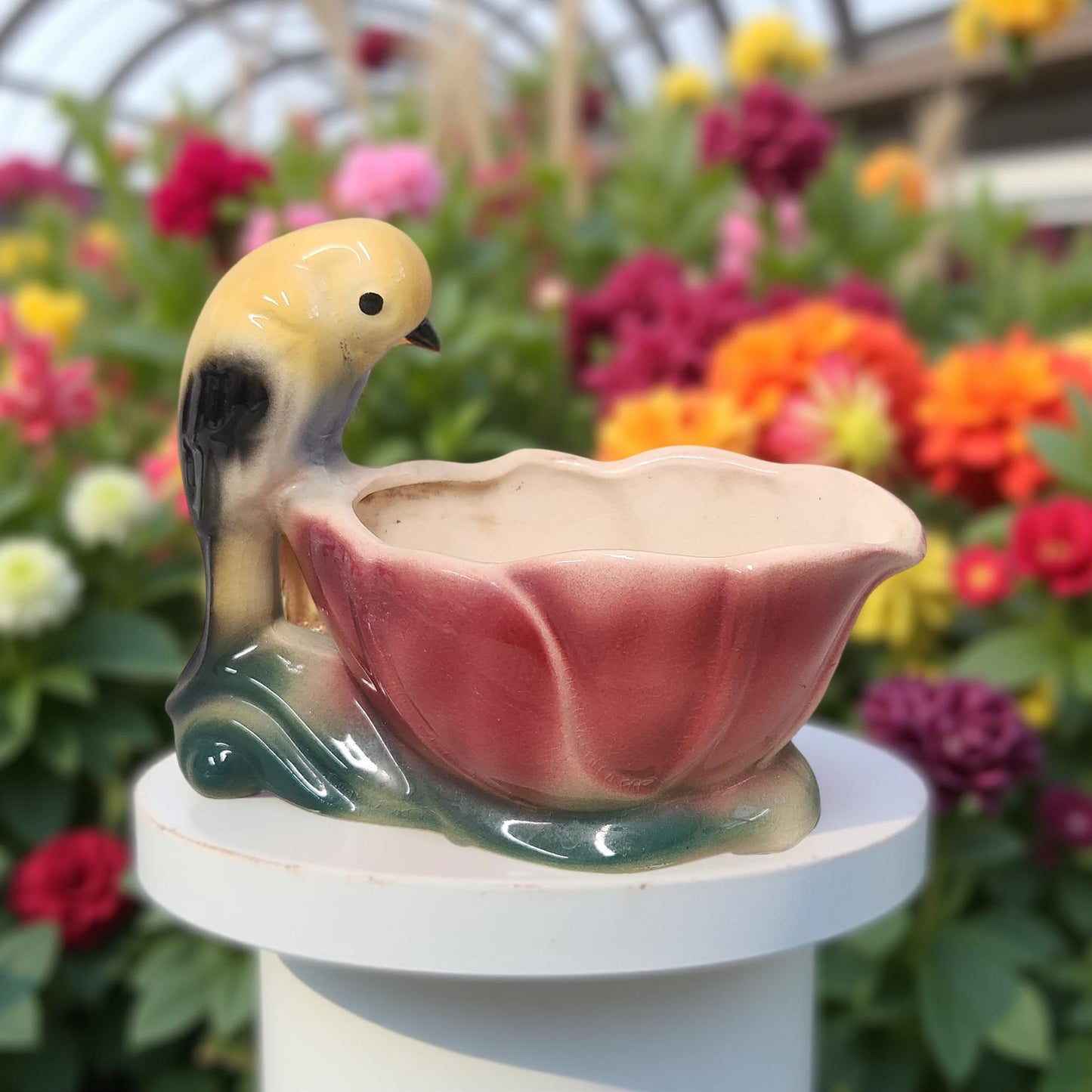 Charming Bird Lover Gift - Vintage Style Planters for Succulents