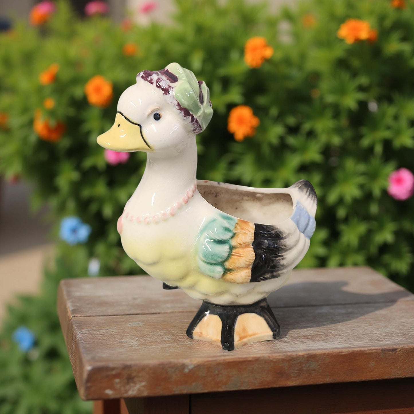 Charming Bird Lover Gift - Vintage Style Planters for Succulents