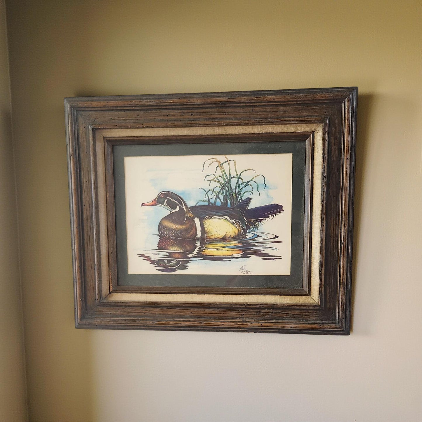 Colorful Masterpiece: Beautiful Framed Duck by Rick Hall