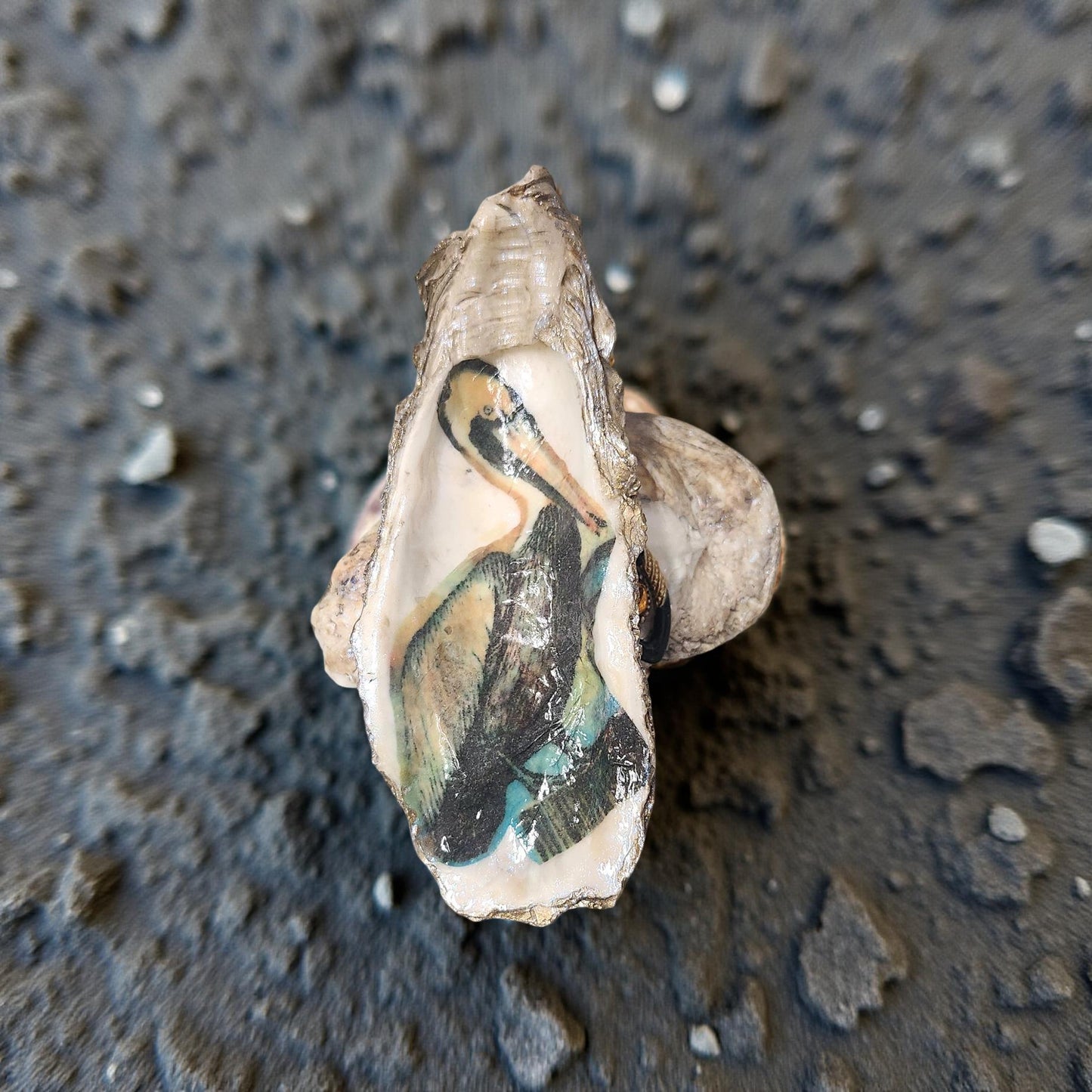 Decorative Louisiana Oyster Shell Art - Hand-crafted