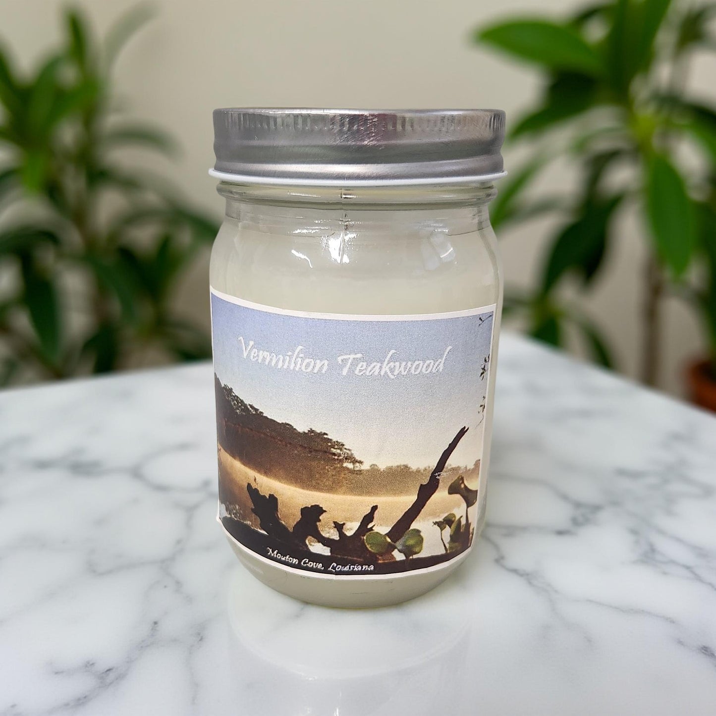 Mason Jar Luxury Wax Candles - Louisiana Scenery