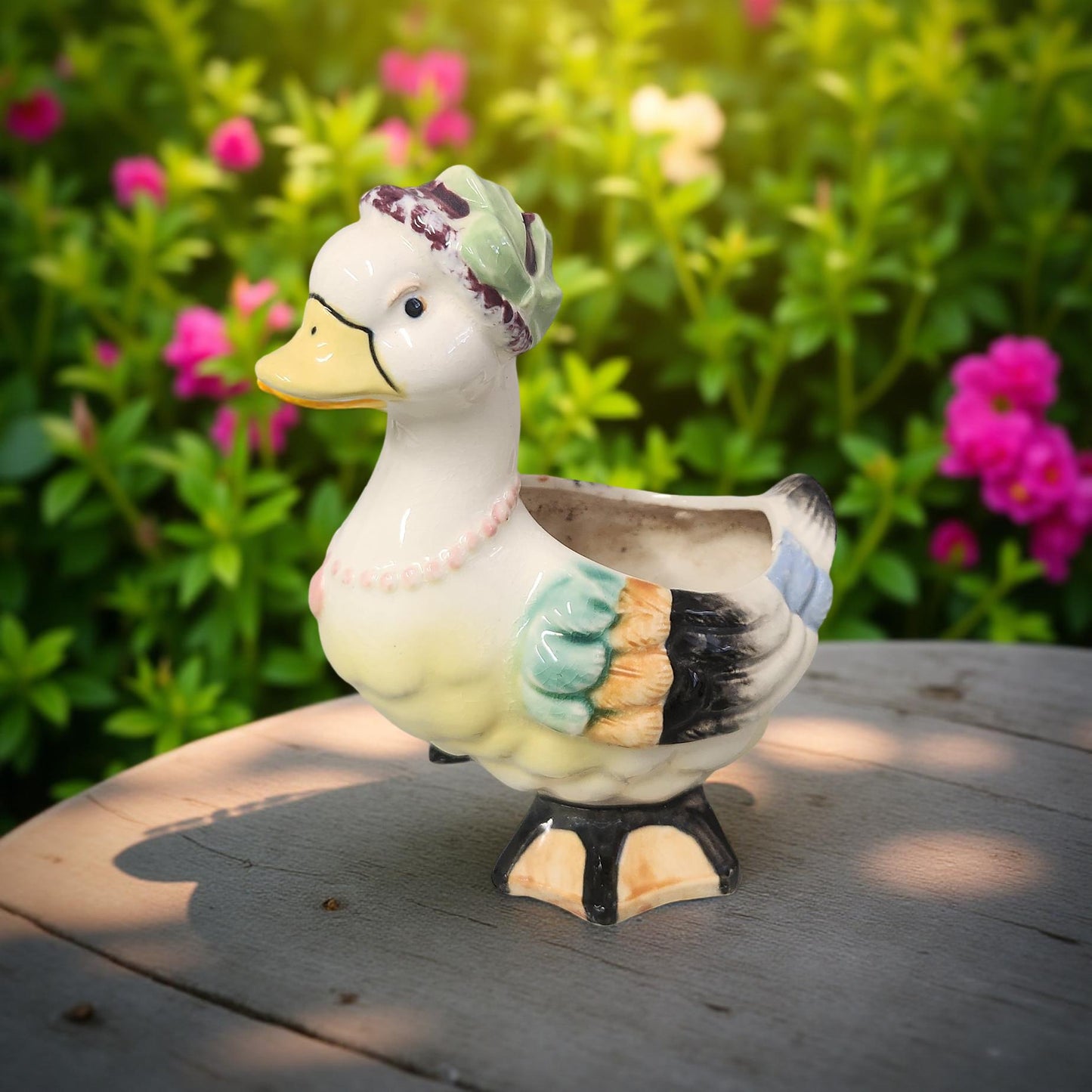 Charming Bird Lover Gift - Vintage Style Planters for Succulents
