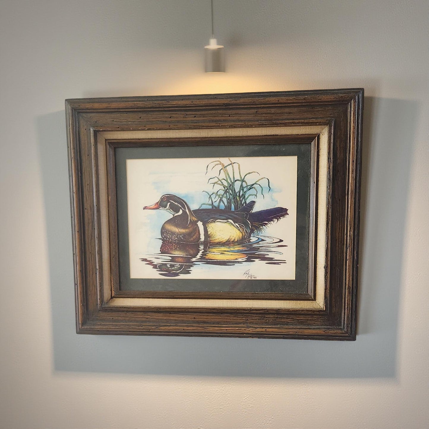 Colorful Masterpiece: Beautiful Framed Duck by Rick Hall