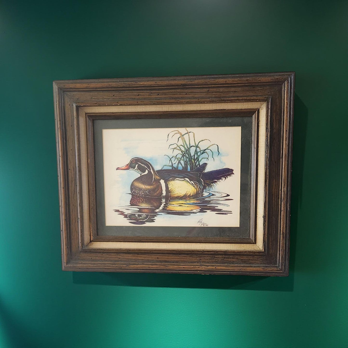 Colorful Masterpiece: Beautiful Framed Duck by Rick Hall