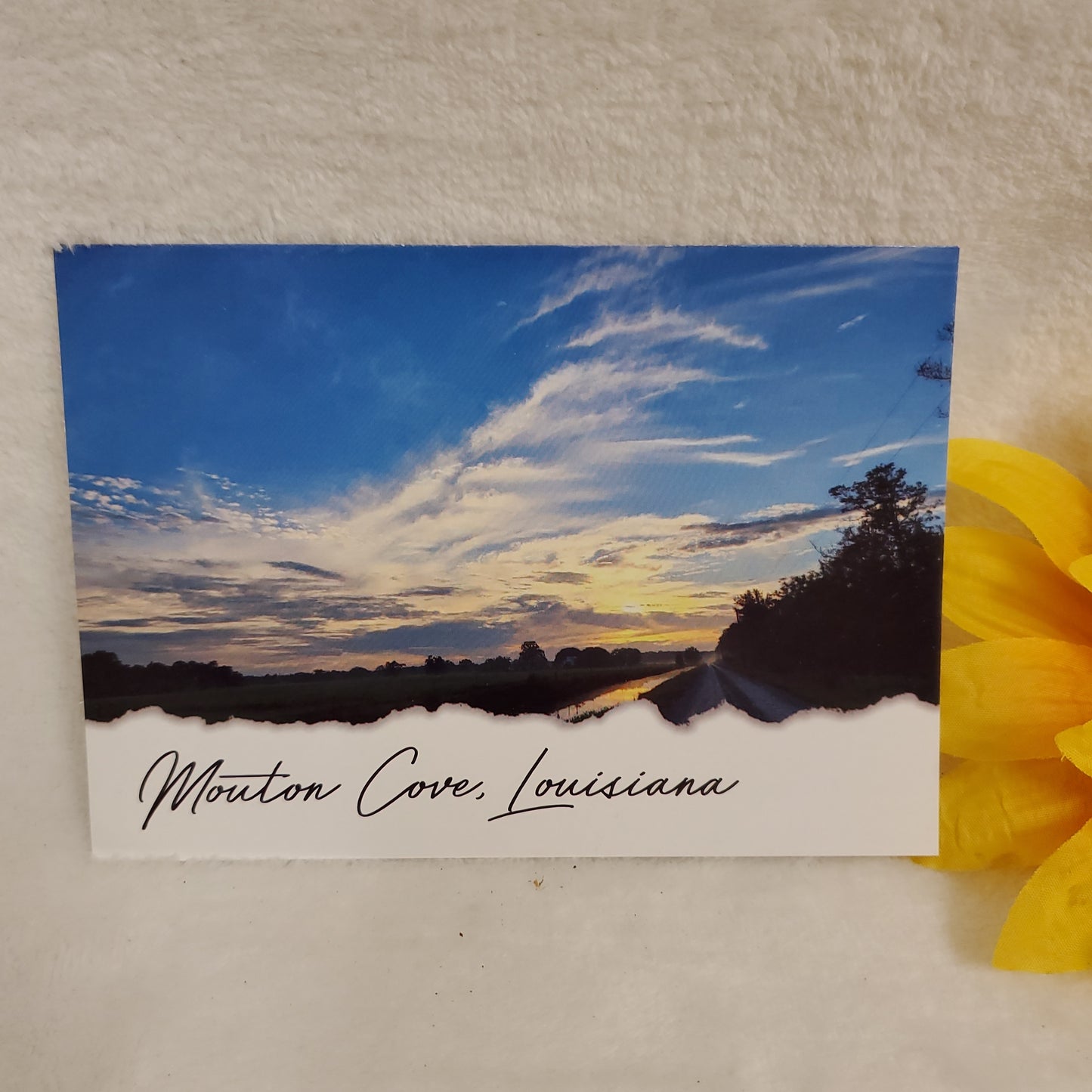 4 x 6 Postcards