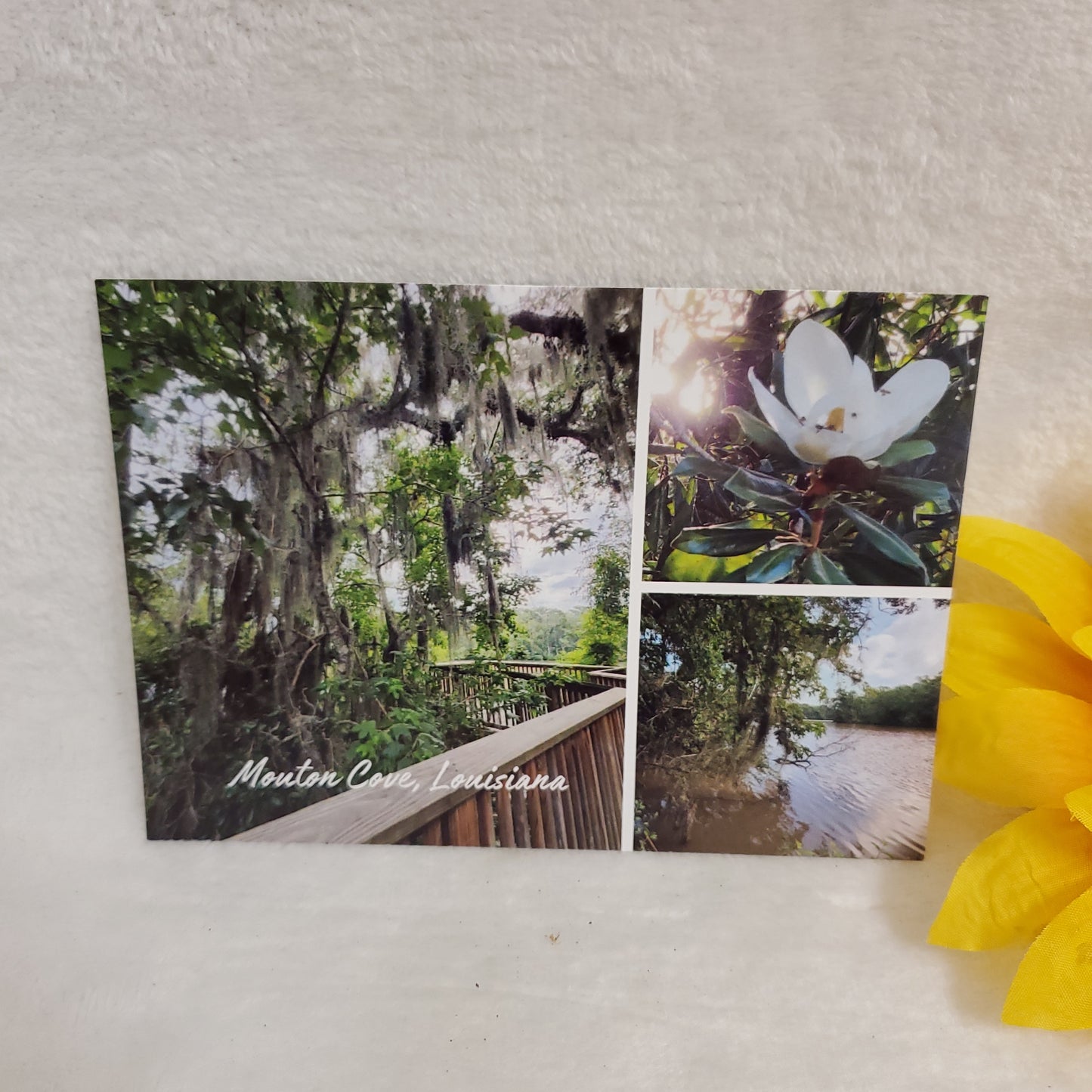 4 x 6 Postcards
