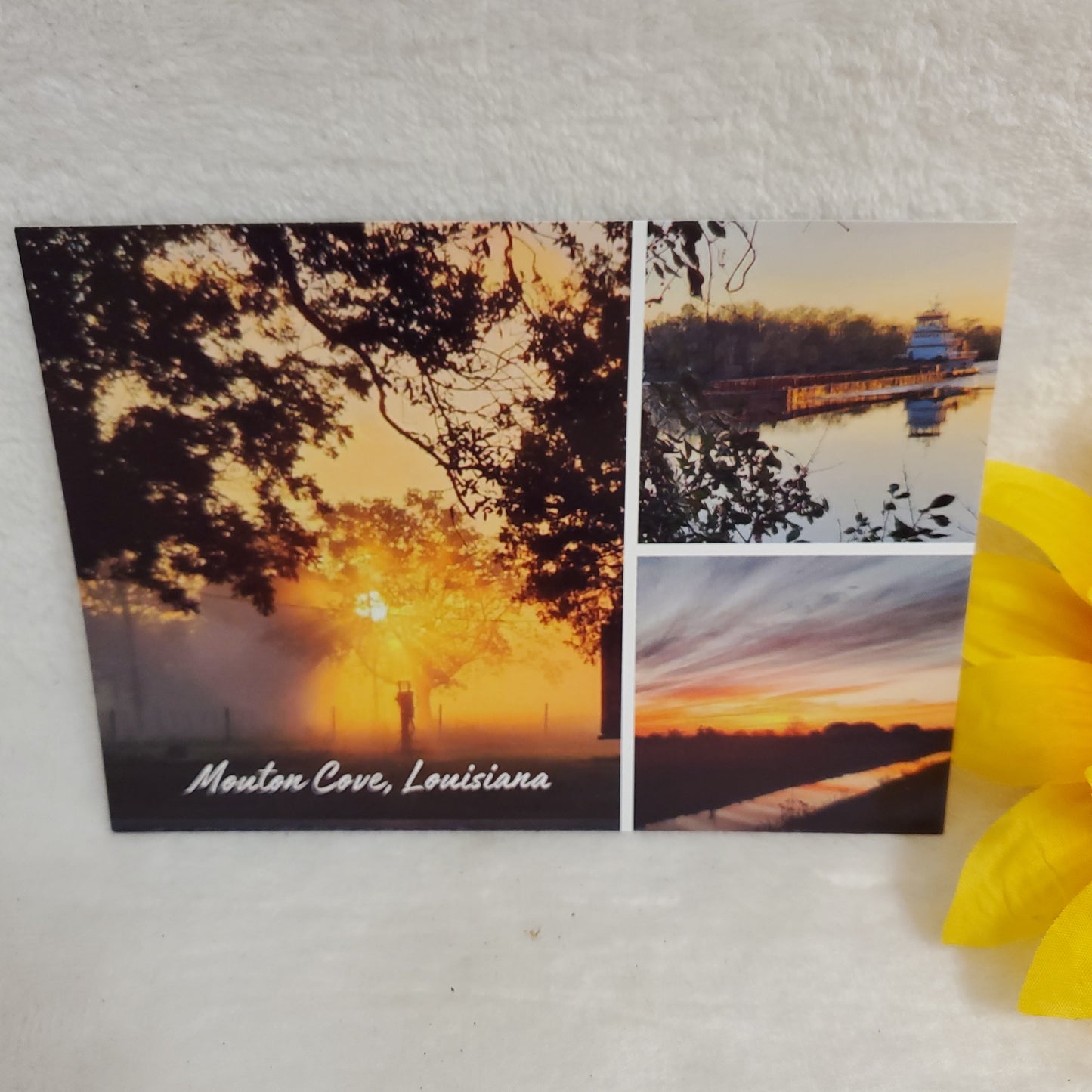 4 x 6 Postcards