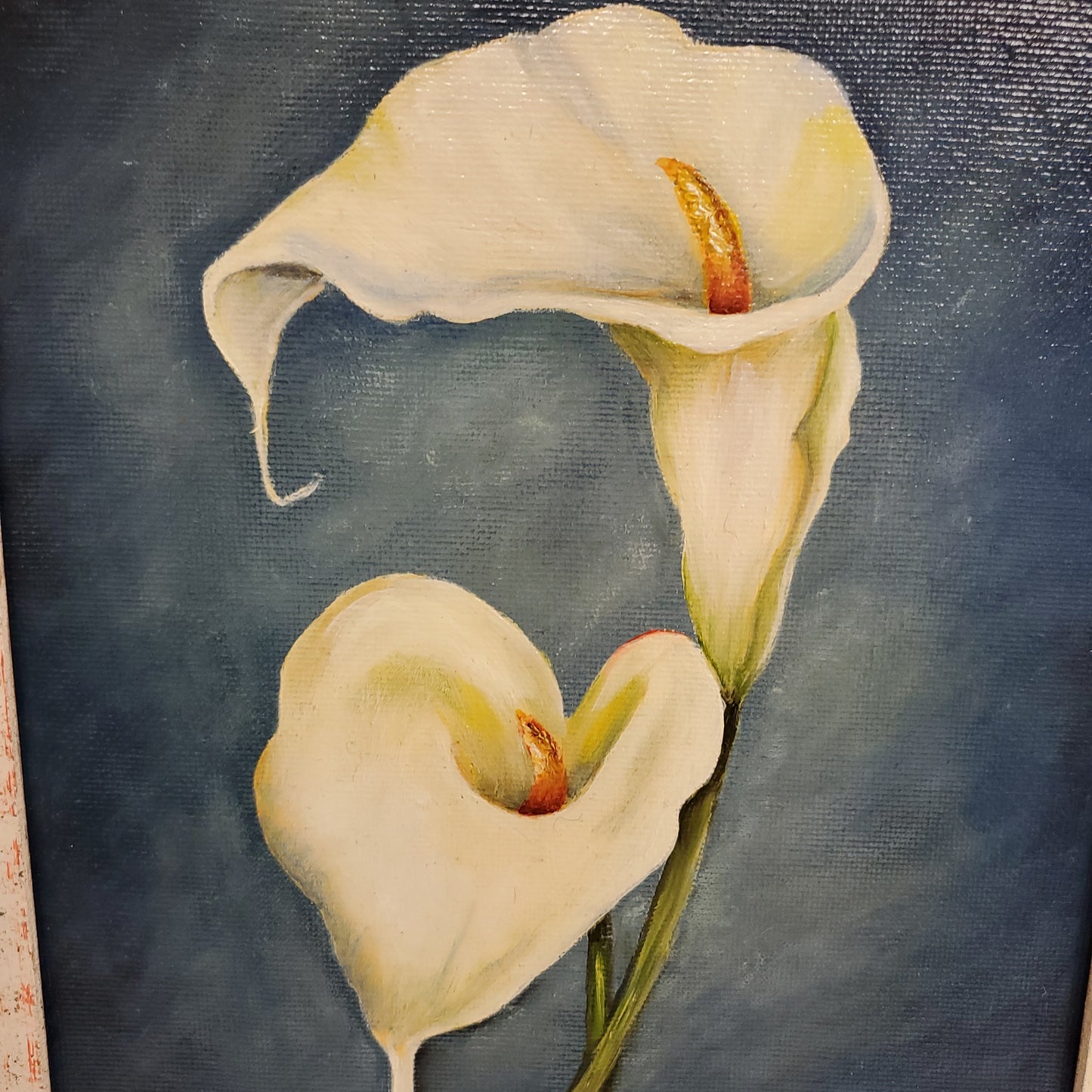 Calla Lillies in White Frame