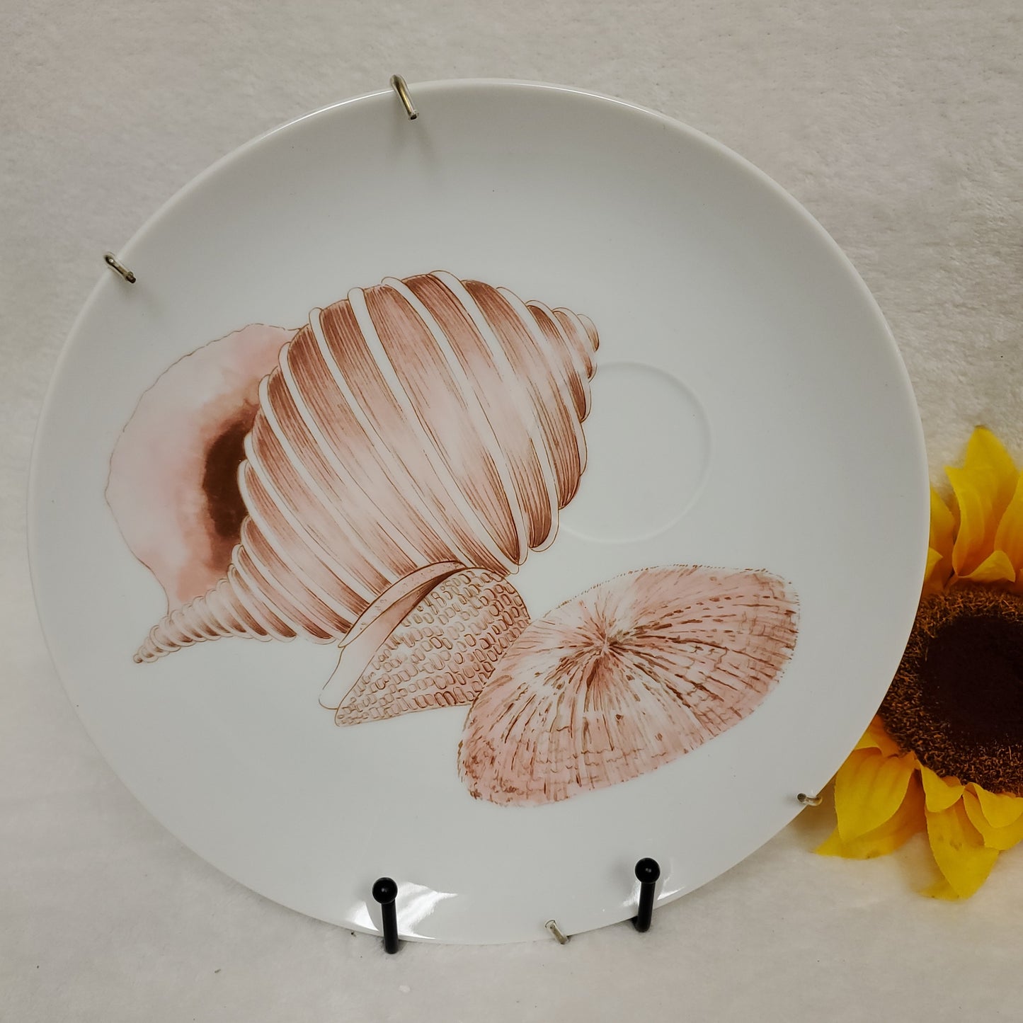 Seashell Plates