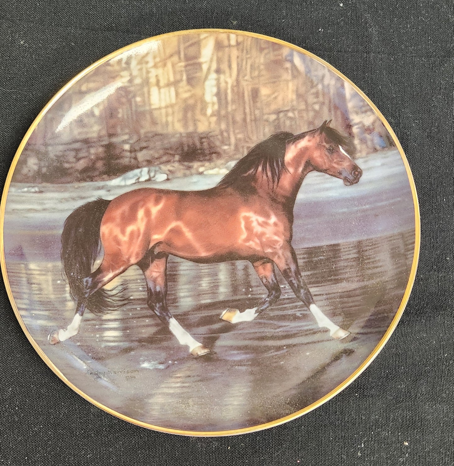 Vintage 'Free Spirits' Danbury Mint Collectible Plate - Americana Decor