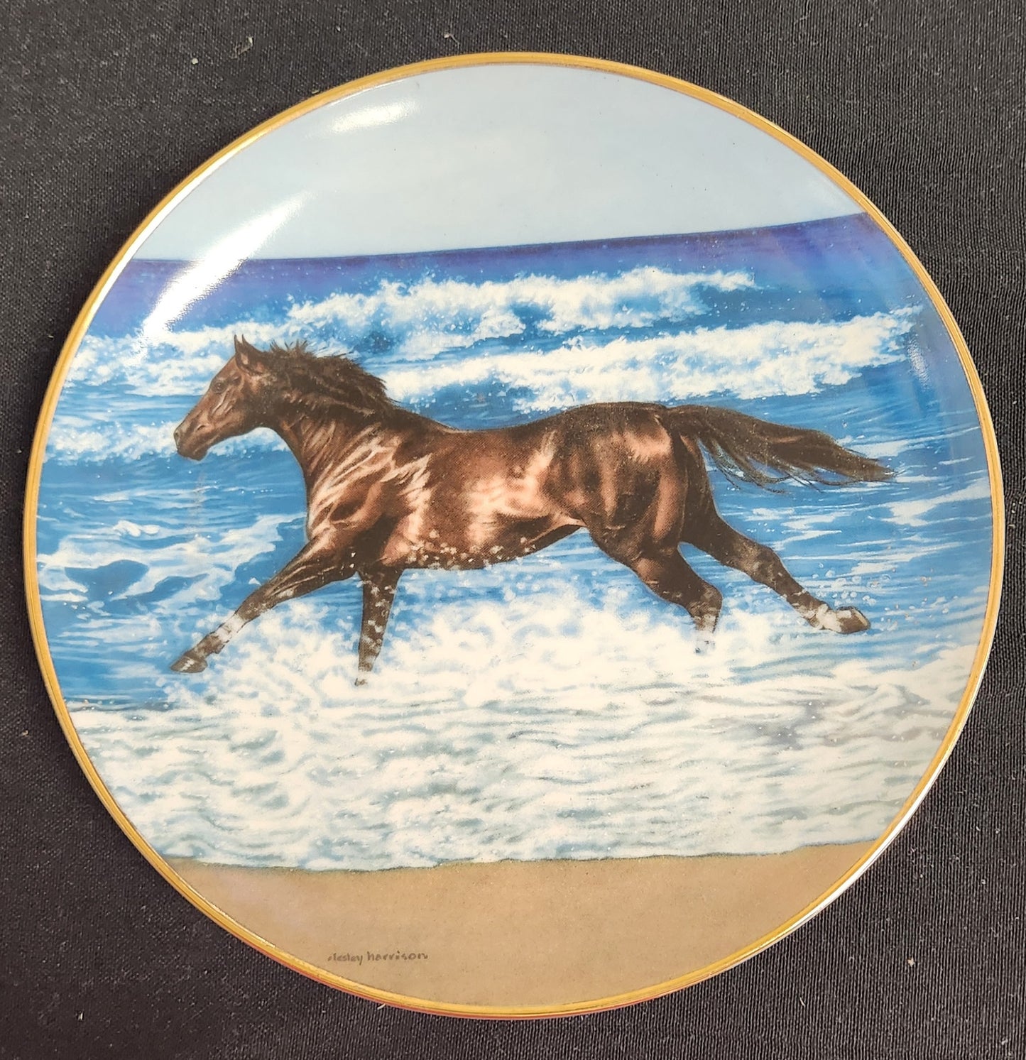 Vintage 'Free Spirits' Danbury Mint Collectible Plate - Americana Decor