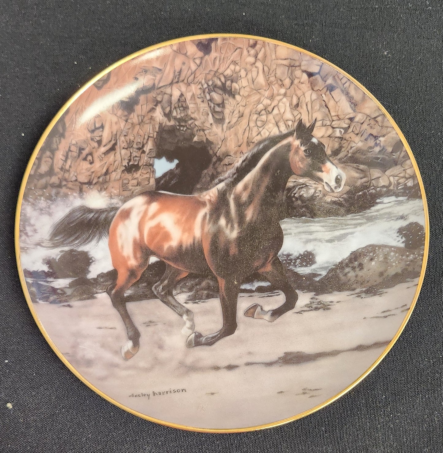 Vintage 'Free Spirits' Danbury Mint Collectible Plate - Americana Decor