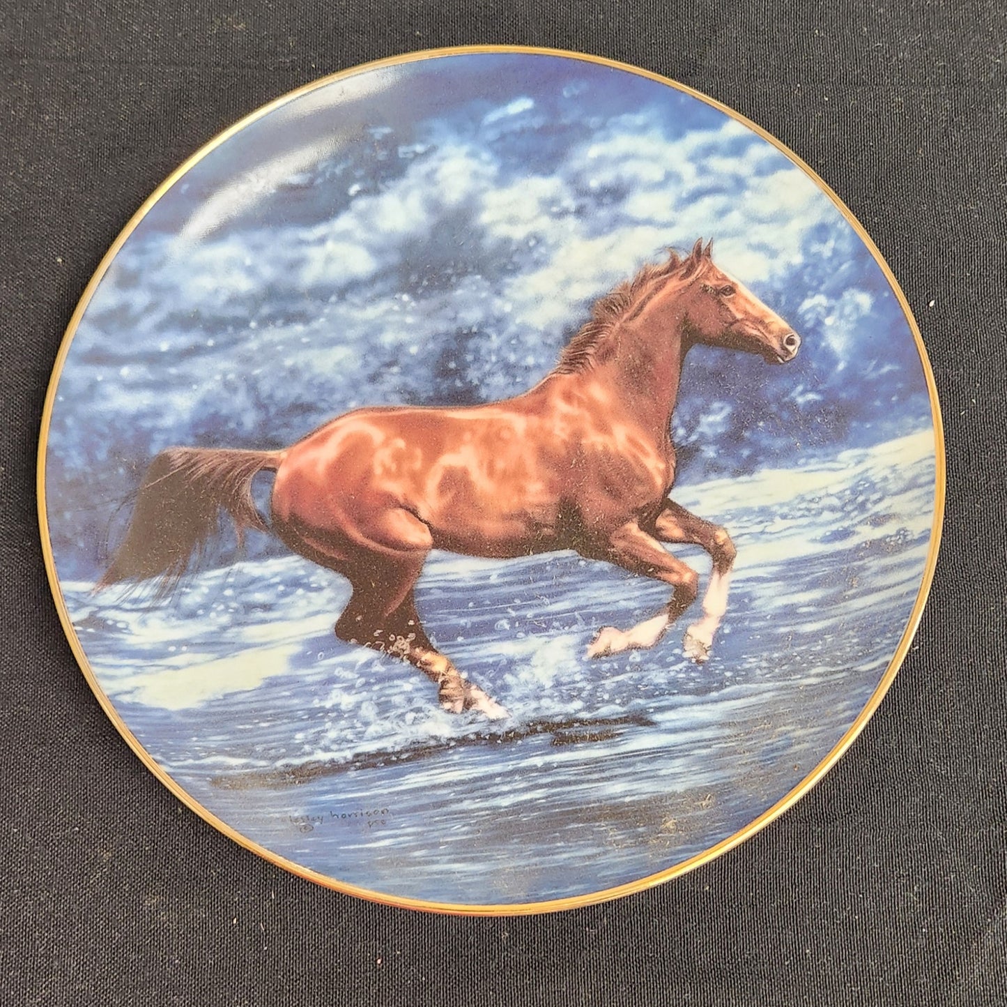 Vintage 'Free Spirits' Danbury Mint Collectible Plate - Americana Decor
