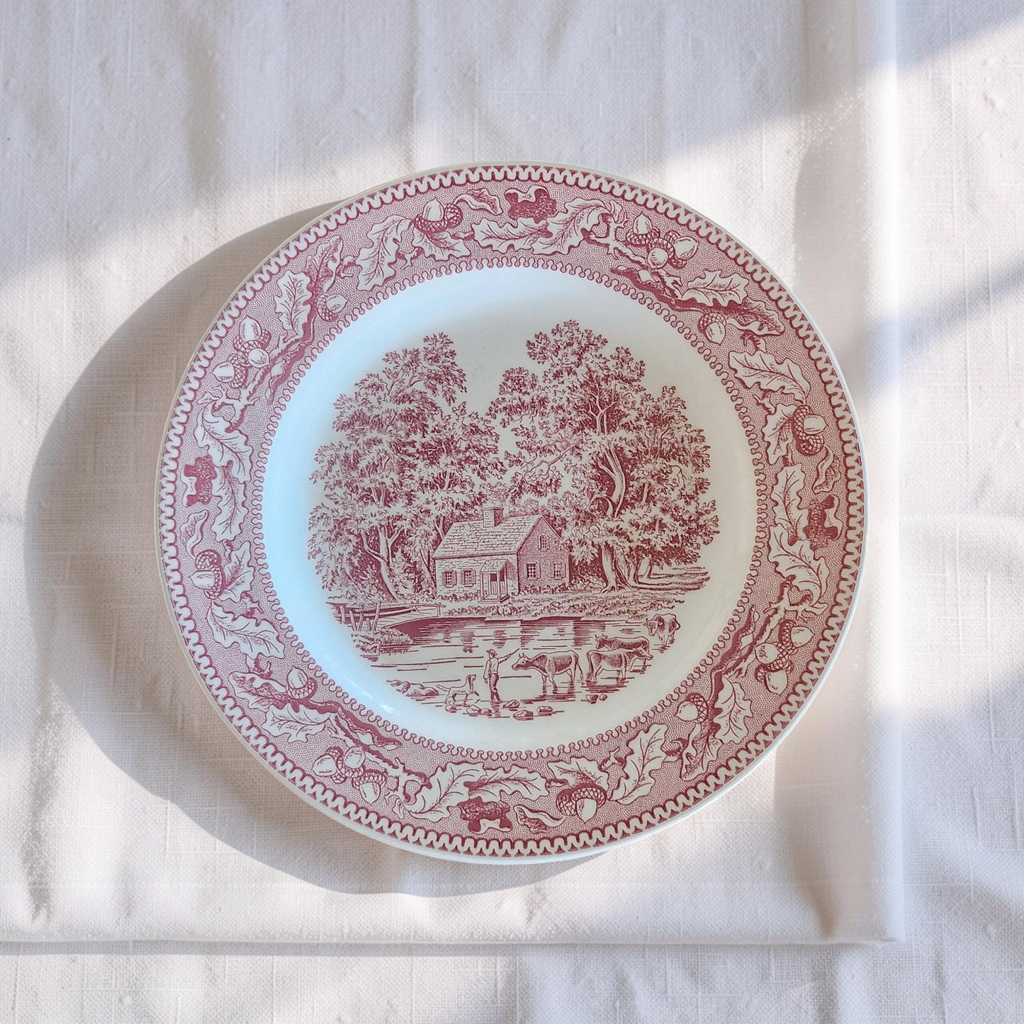 Vintage Royal Ironstone Memory Lane Red 10" Plate