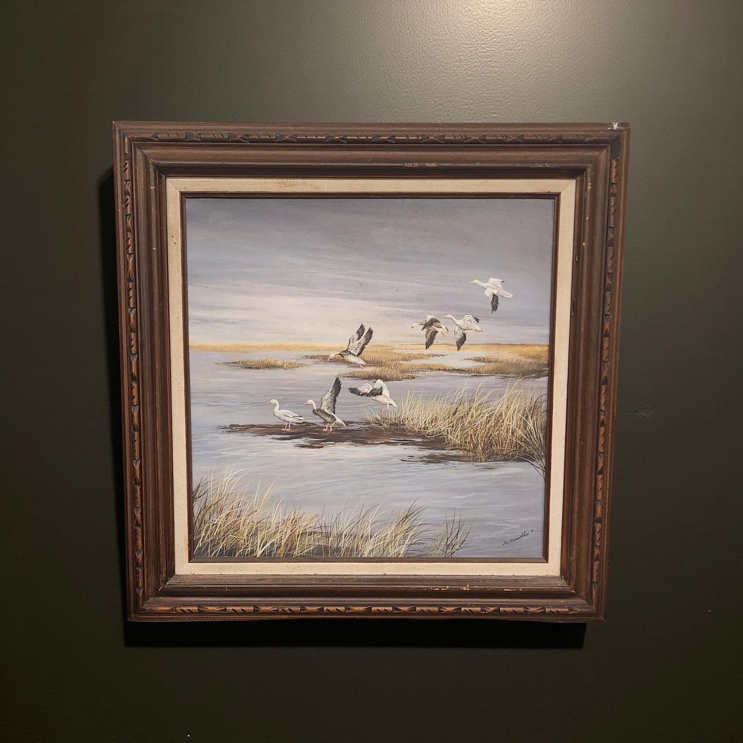 Canadian Geese in the Marsh