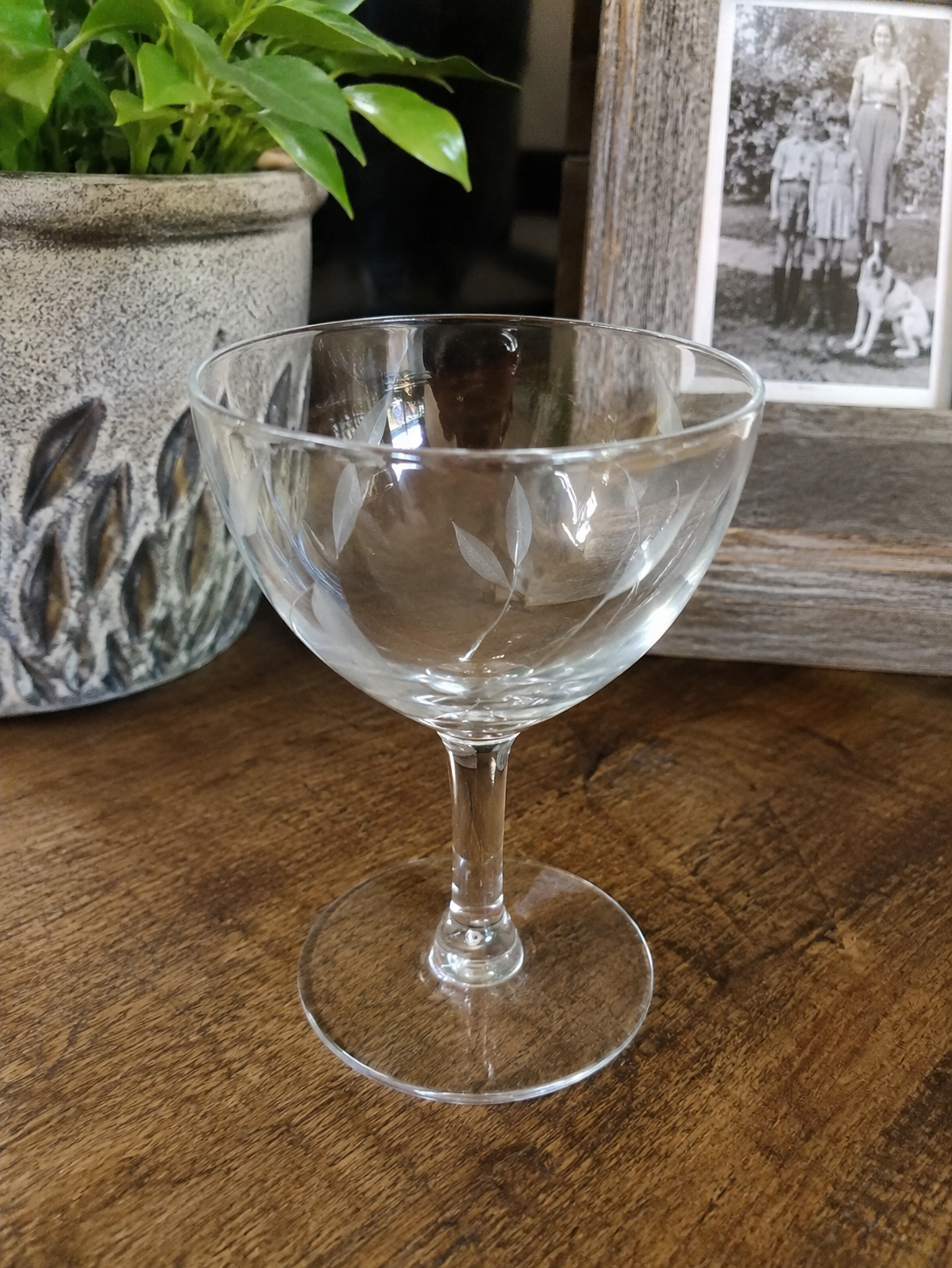 Vintage Fostoria Etched Glassware | Elegant Floral Etched Crystal Stemware