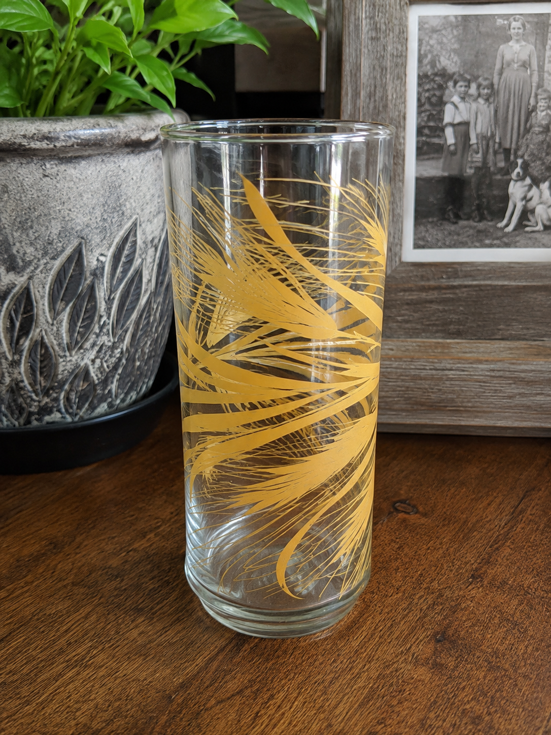 Vintage 70s Style Drinking Glasses | Retro Highball Tumblers