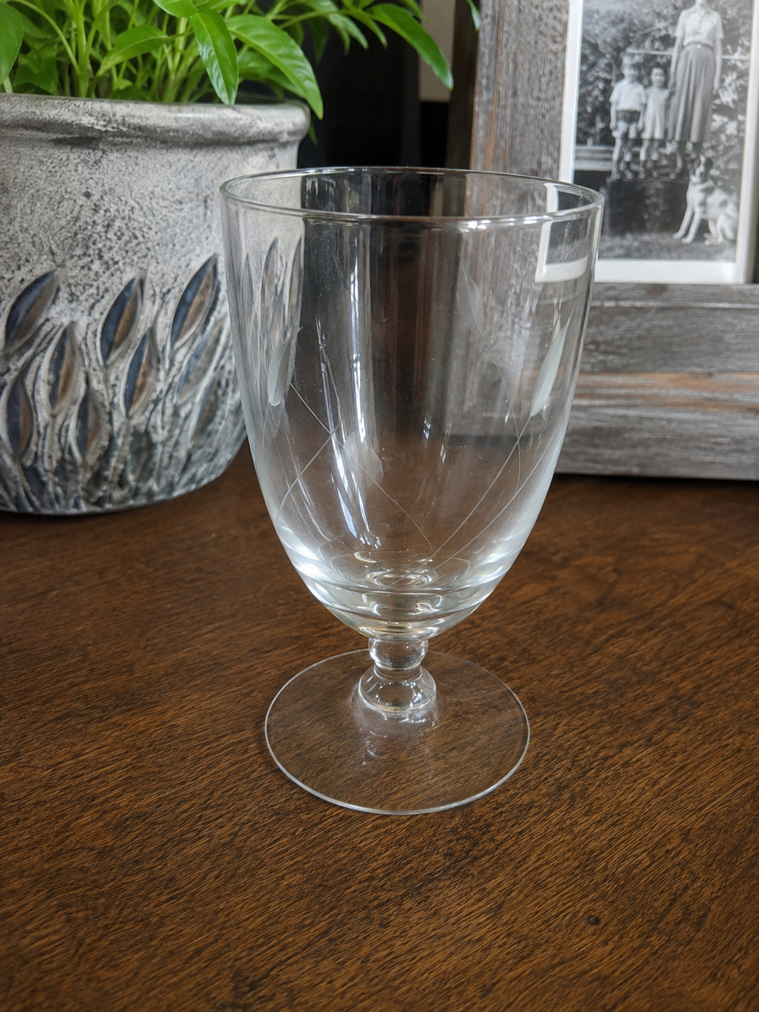 Vintage Fostoria Etched Glassware | Elegant Floral Etched Crystal Stemware