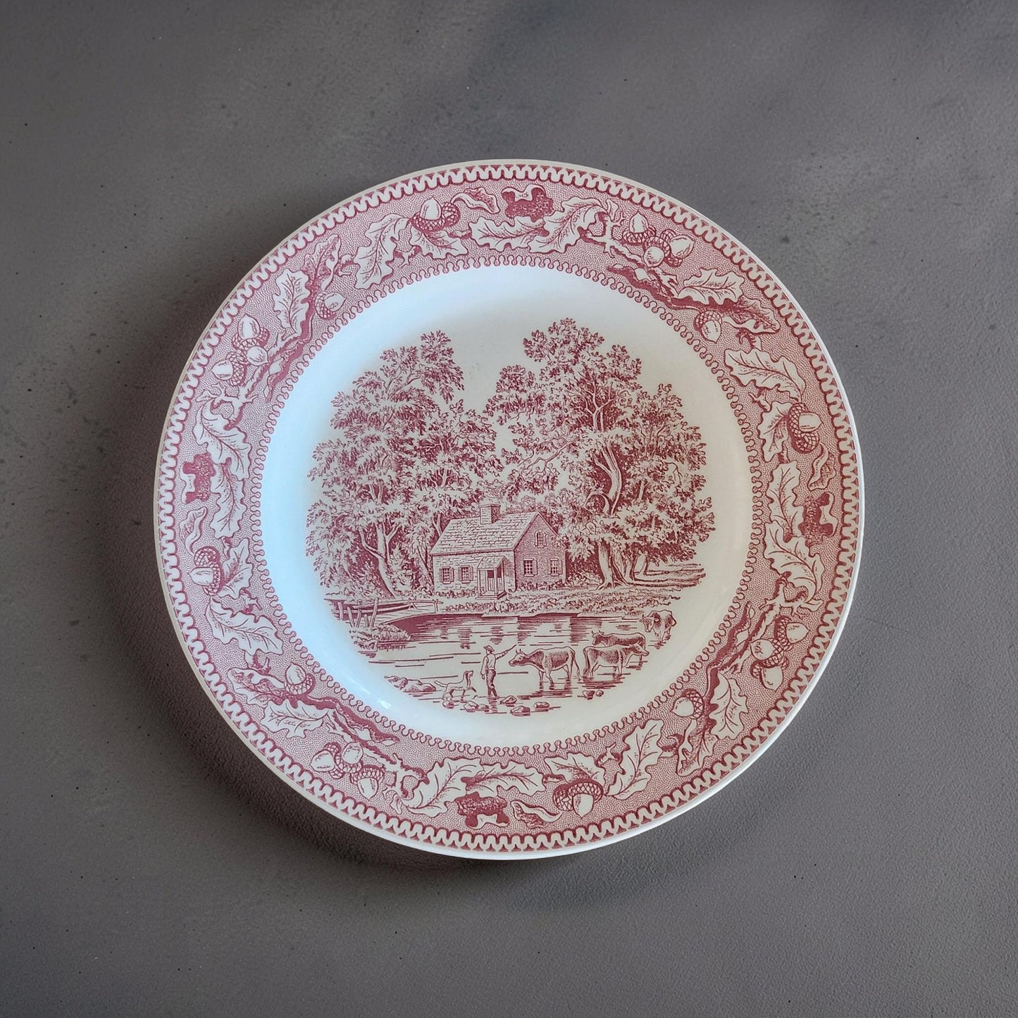 Vintage Royal Ironstone Memory Lane Red 10" Plate