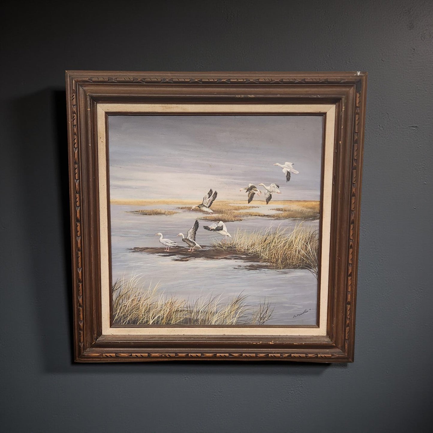 Canadian Geese in the Marsh