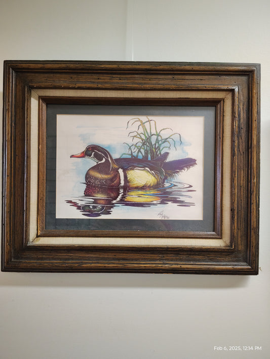 Duck in Frame by Rick Hall
