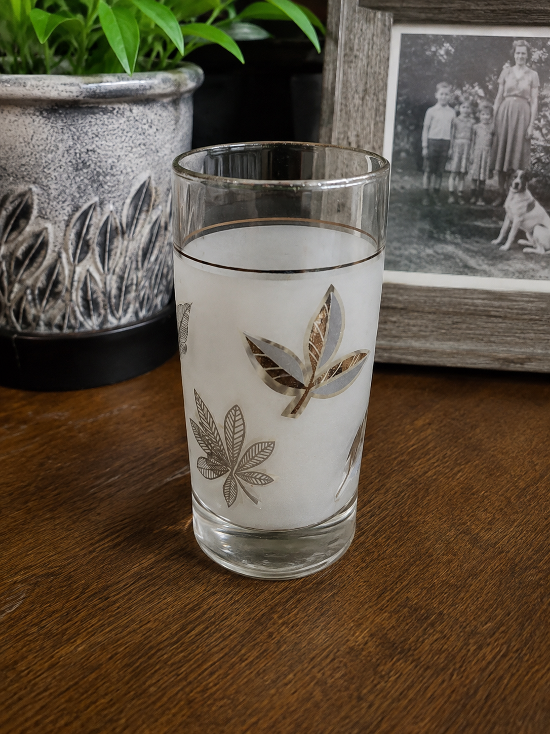 Vintage 70s Style Drinking Glasses | Retro Highball Tumblers