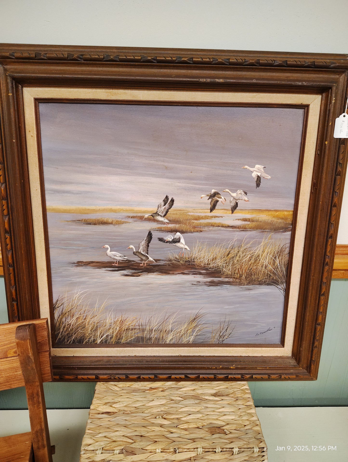 Canadian Geese in the Marsh