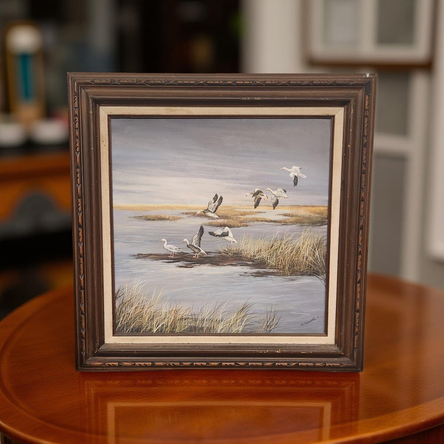 Canadian Geese in the Marsh