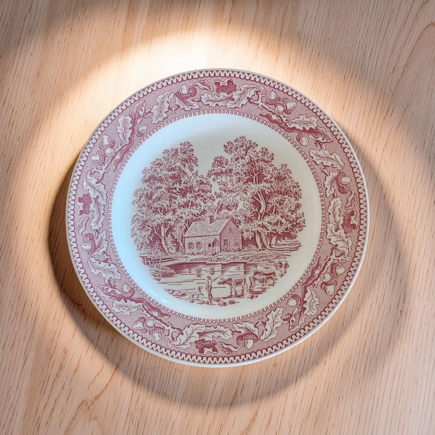 Vintage Royal Ironstone Memory Lane Red 10" Plate
